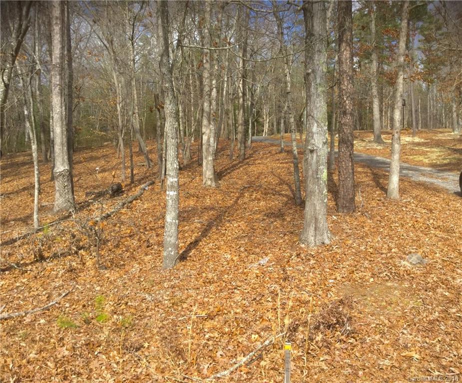 1053 Jim Wilson Road Indian Land, SC 29707 - Photo 19 of 22 Gallery Image 19