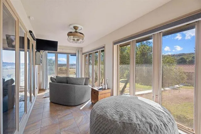 a close up of a plant in a garden