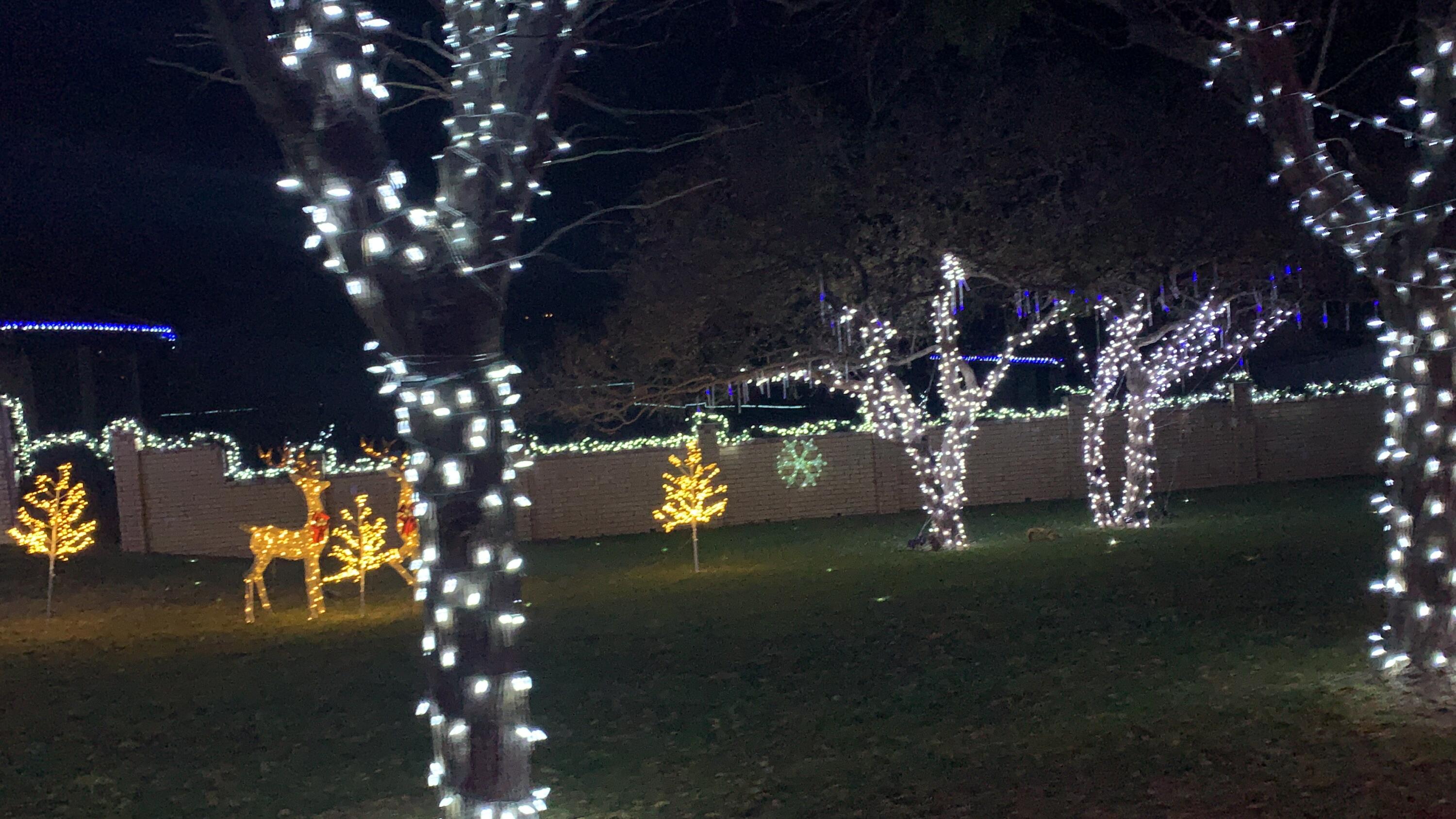 98 South Lakeshore Drive Ransom Canyon, TX 79366 - Photo 59 of 99 IMG_0321