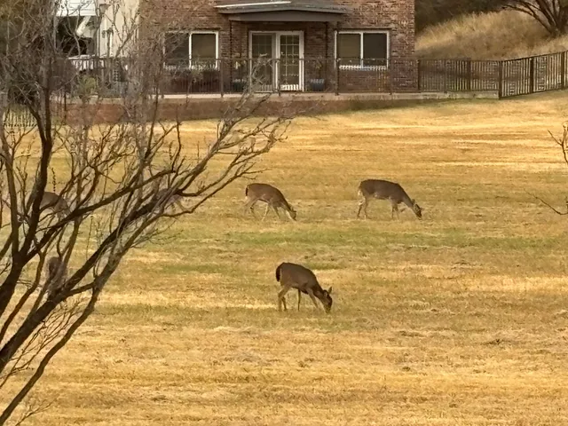 a view of an entryway with wooden floor and livingroom view