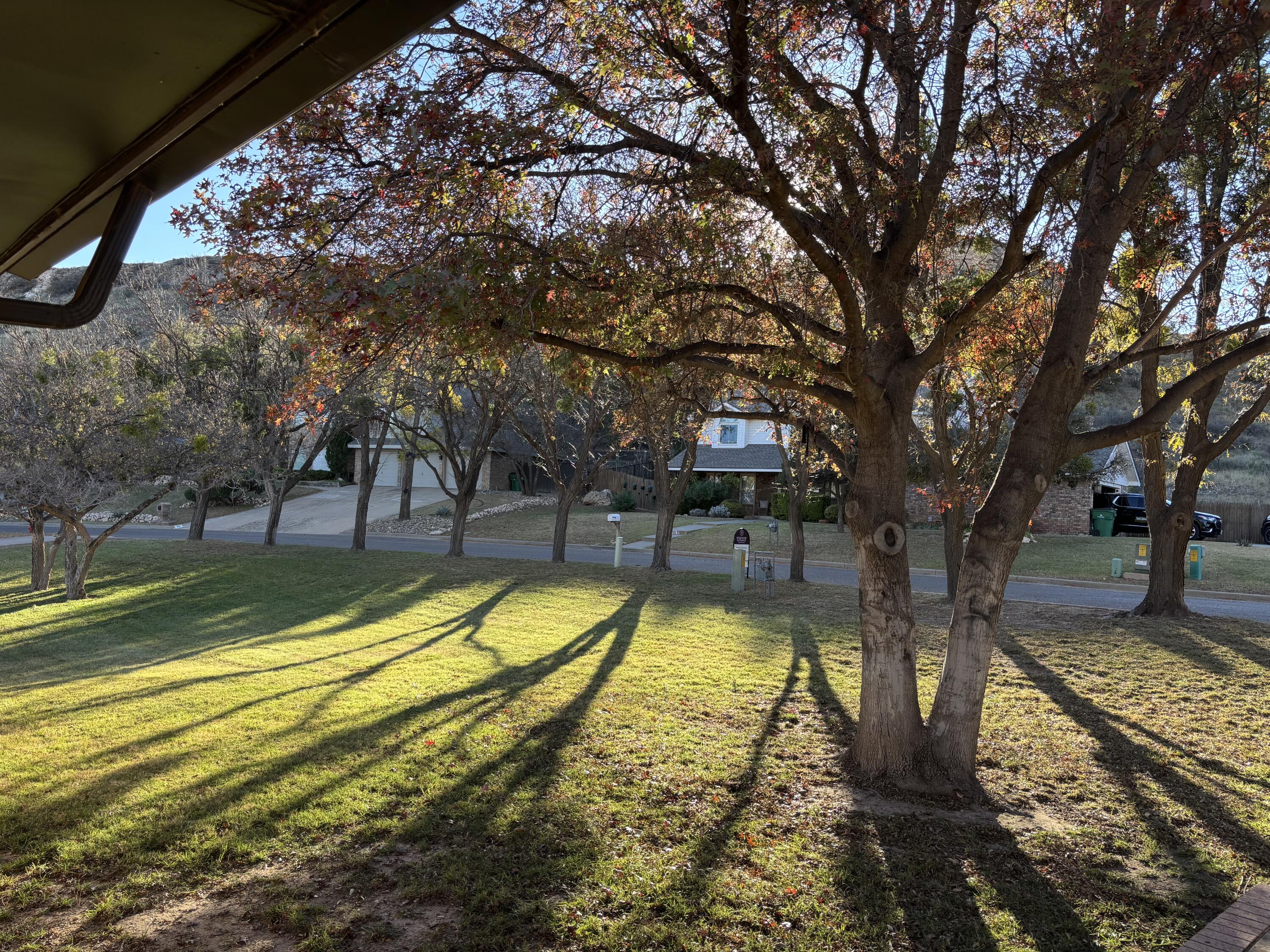 98 South Lakeshore Drive Ransom Canyon, TX 79366 - Photo 63 of 99 IMG_3691