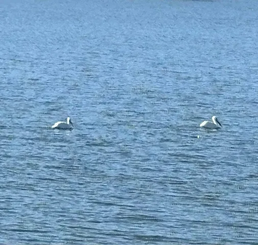 $875,000 | 98 South Lakeshore Drive, Ransom Canyon, TX 79366