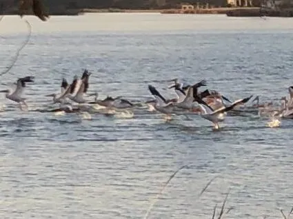 $875,000 | 98 South Lakeshore Drive, Ransom Canyon, TX 79366