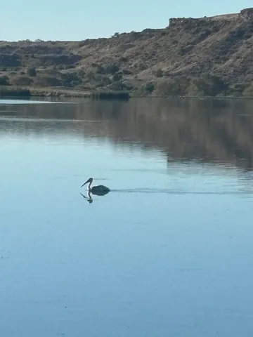 $875,000 | 98 South Lakeshore Drive, Ransom Canyon, TX 79366