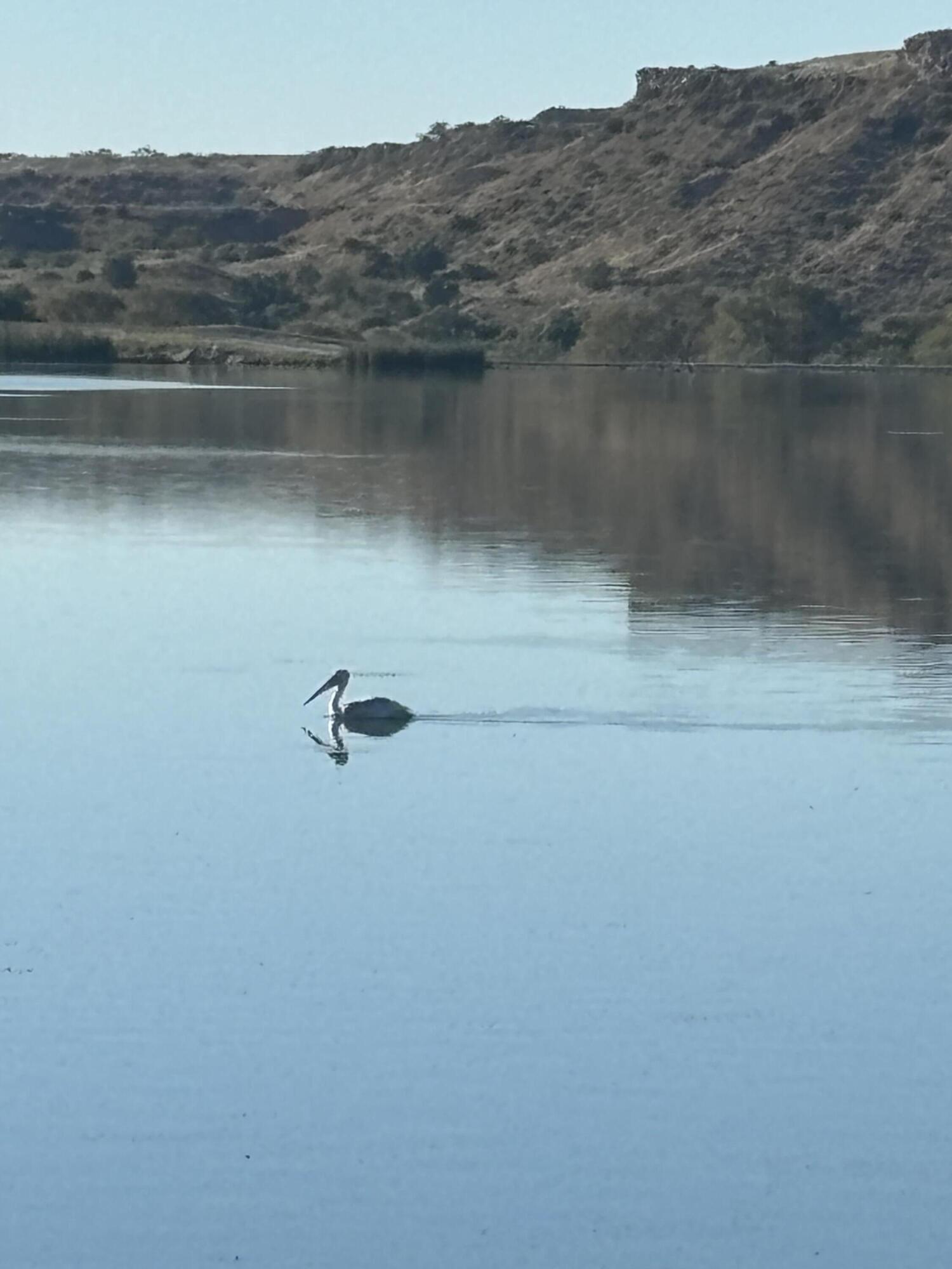 98 South Lakeshore Drive Ransom Canyon, TX 79366 - Photo 93 of 99 a view of a lake view