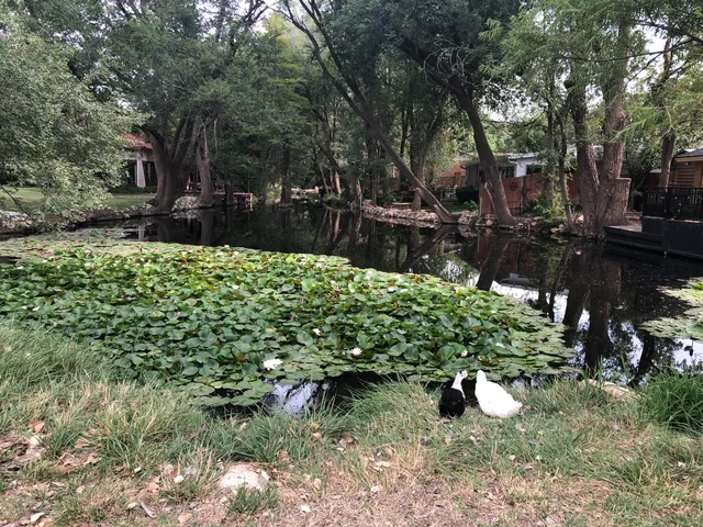 $875,000 | 98 South Lakeshore Drive, Ransom Canyon, TX 79366