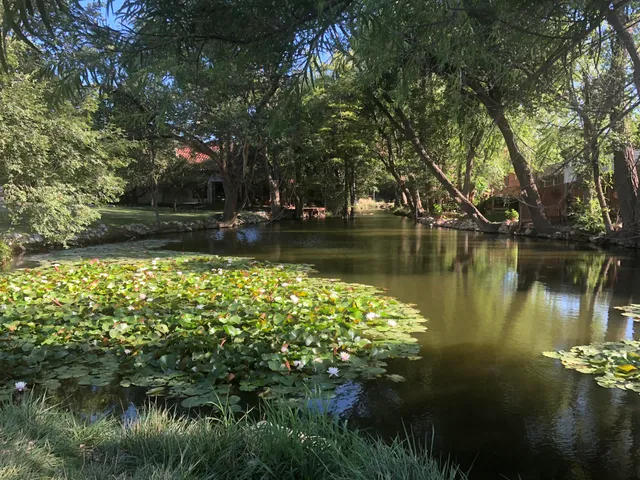 $875,000 | 98 South Lakeshore Drive, Ransom Canyon, TX 79366