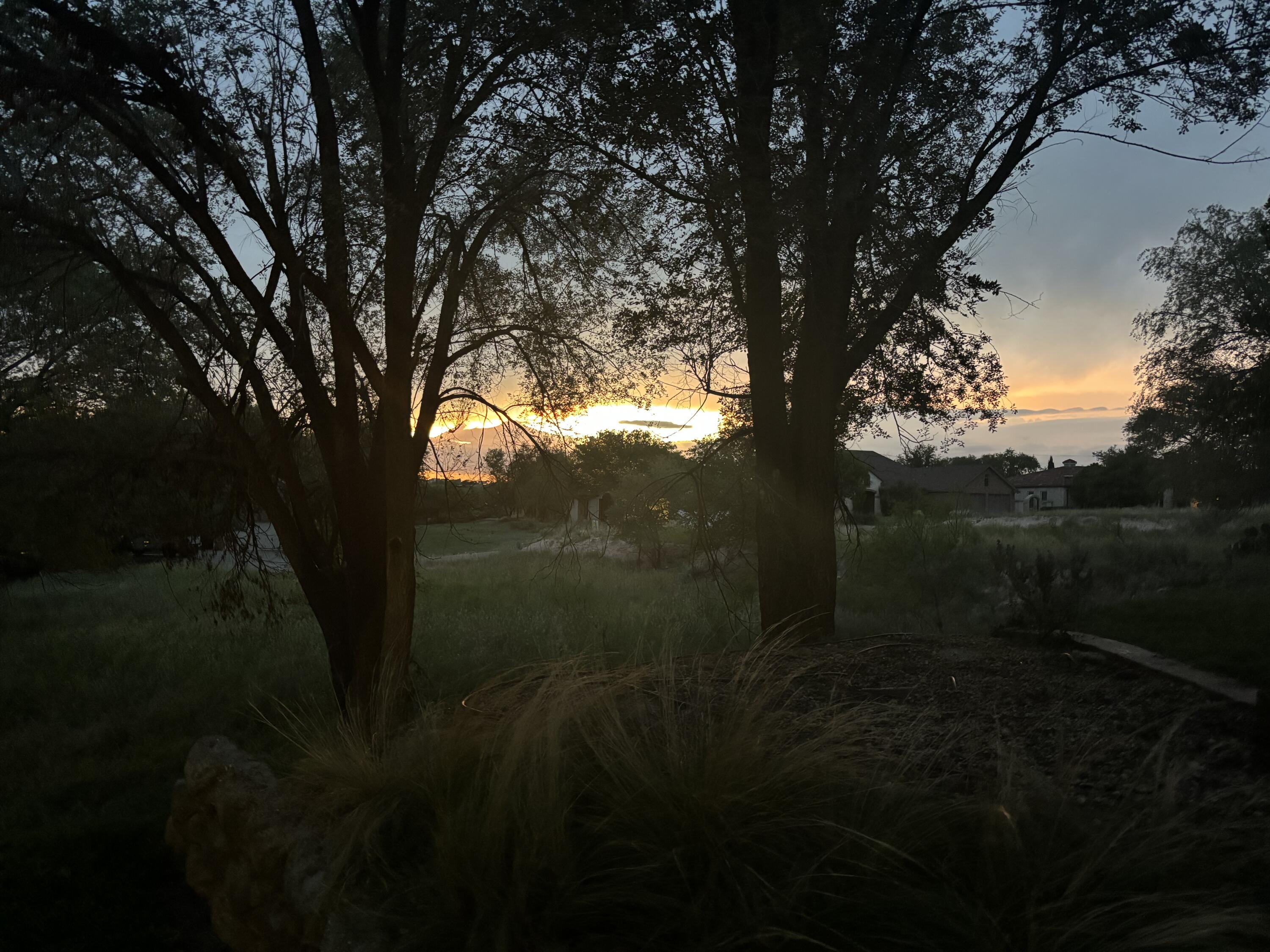 98 South Lakeshore Drive Ransom Canyon, TX 79366 - Photo 97 of 99 IMG_1442