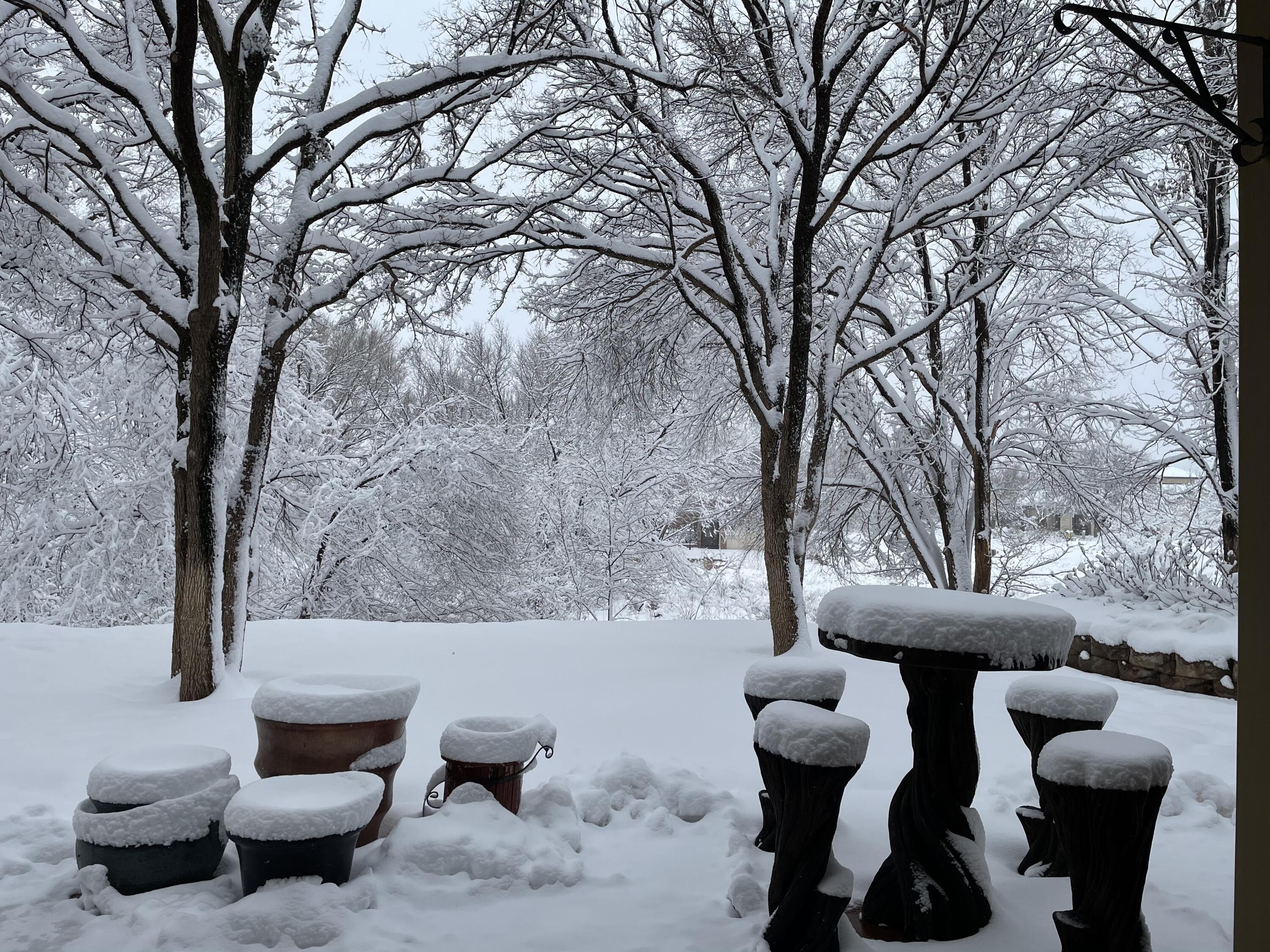 98 South Lakeshore Drive Ransom Canyon, TX 79366 - Photo 98 of 99 a view of a patio with couches table and chairs with wooden fence and large trees