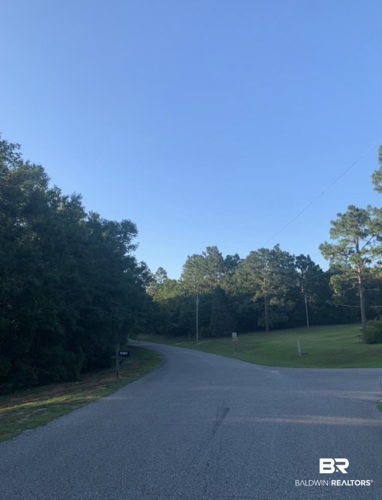 Lot 38 Erin Pond Road Seminole, AL 36574 - Photo 12 of 15