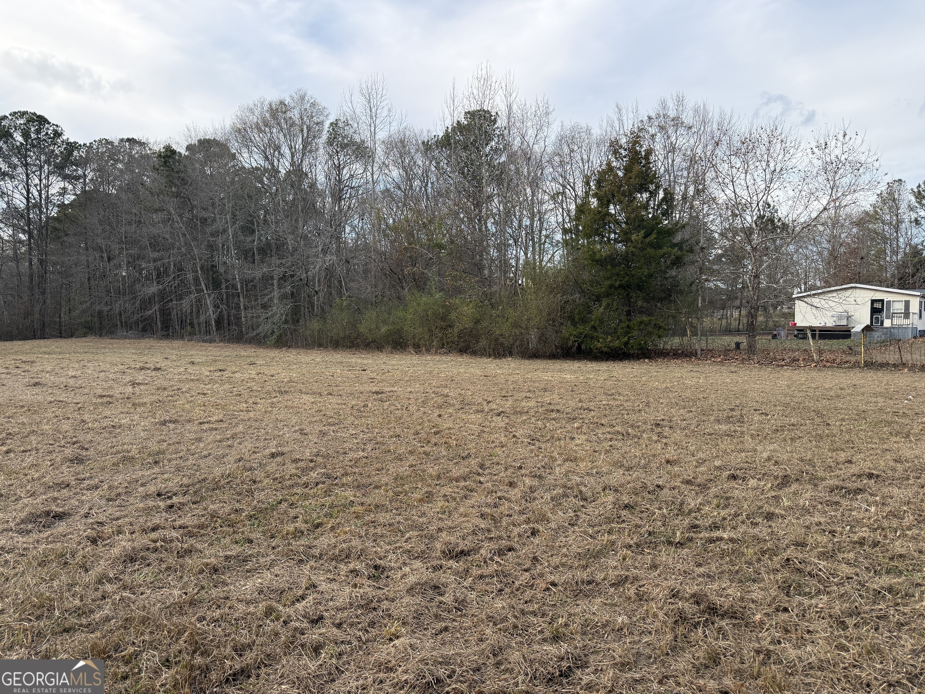 2.83-acres Williams Road Shiloh, GA 31826 - Photo 12 of 22