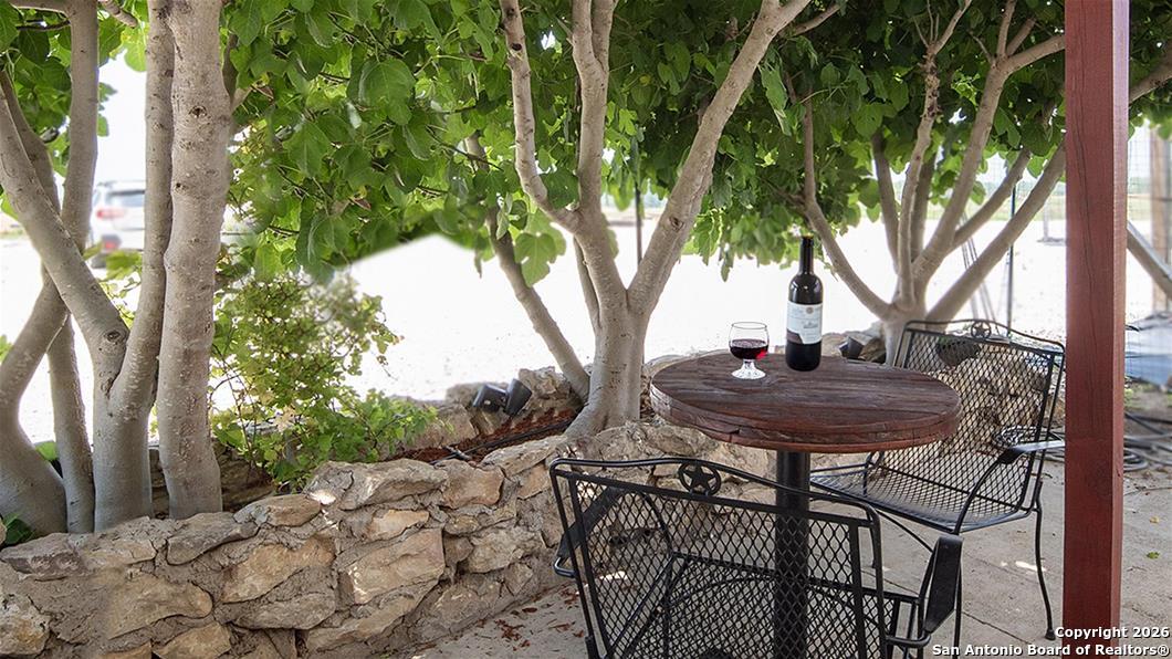 173 Mountain Oak Castroville, TX 78009 - Photo 23 of 23