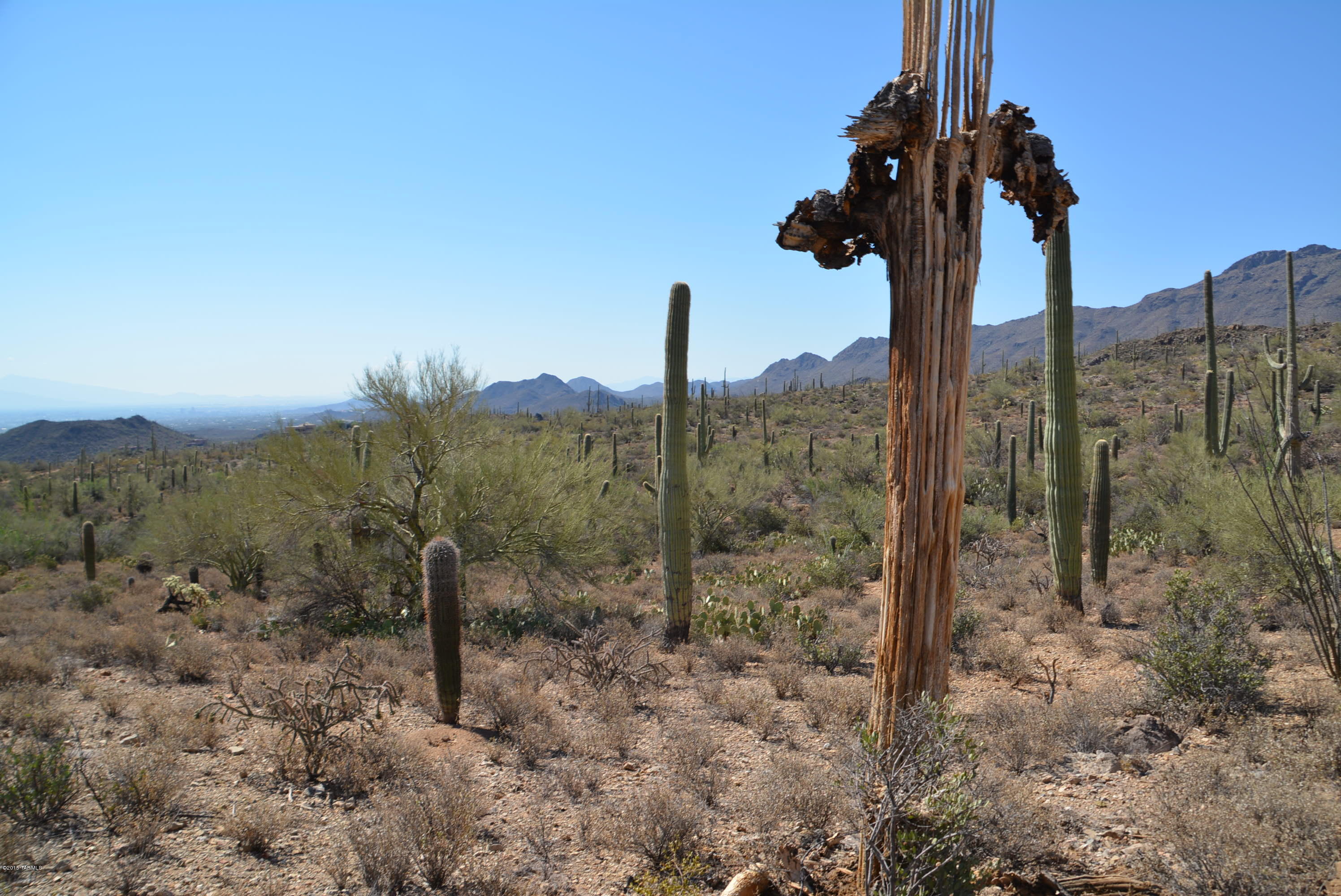 0 Broken Spring Tucson, AZ 85745 - Photo 11 of 24