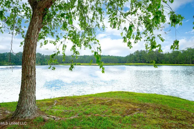 $1,350,000 | 51 Spencer Cove, Hattiesburg, MS 39402