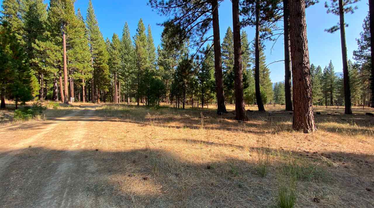 361 Clio State 40A Road Clio, CA 96106 - Photo 7 of 19 Gallery Image 7