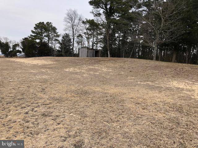 Lot 2 Mt Vernon Road Princess Anne, MD 21853 - Photo 3 of 10 Nice High Land on Lot 2