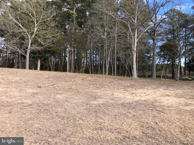Lot 2 Mt Vernon Road Princess Anne, MD 21853 - Photo 7 of 10