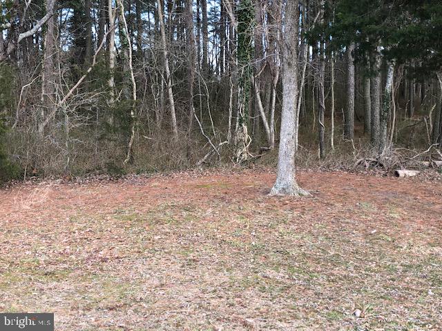 Lot 2 Mt Vernon Road Princess Anne, MD 21853 - Photo 8 of 10