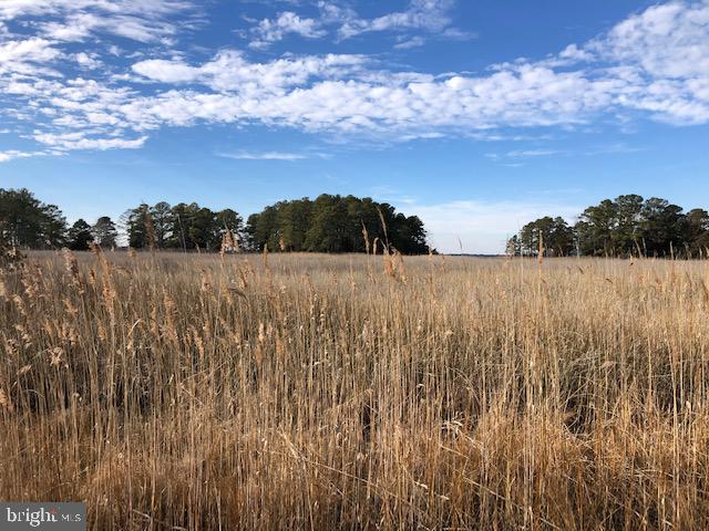 Lot 2 Mt Vernon Road Princess Anne, MD 21853 - Photo 10 of 10