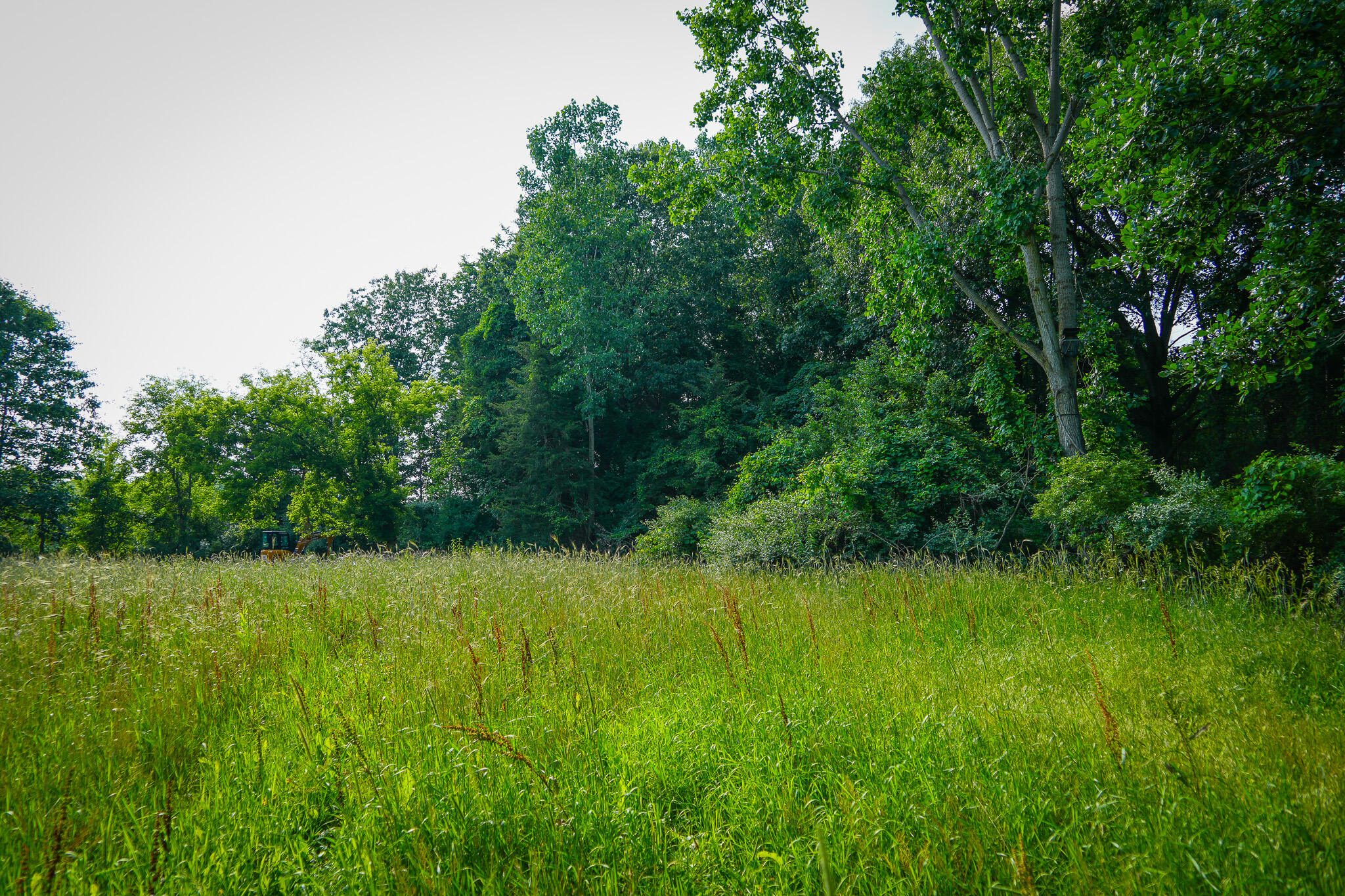 5100 Long Lake Road Reading, MI 49274 - Photo 60 of 63 DSC00716