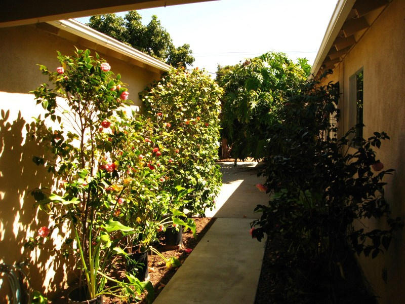 5788 Berkeley Road Goleta, CA 93117 - Photo 11 of 12 Pathway between Garage and Home