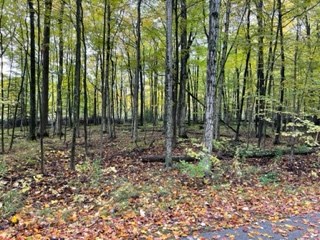 East Ridgeview Drive Baileys Harbor, WI 54202 - Photo 4 of 7