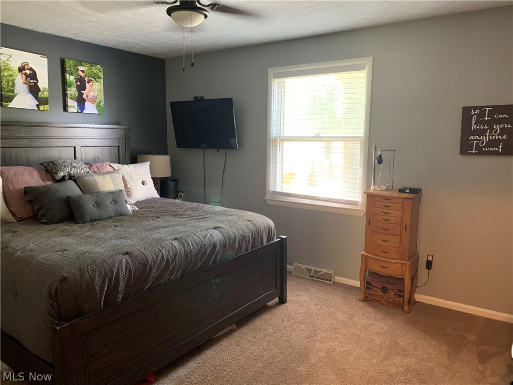 106 Mistletoe Road Niles, OH 44446 - Photo 13 of 19 Gallery Image 13