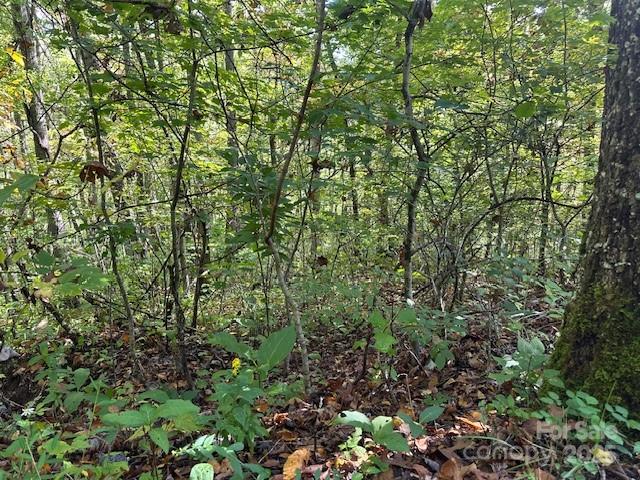 H16-h17 Shady Grv Road Tuckasegee, NC 28783 - Photo 1 of 6 a view of a lush green forest