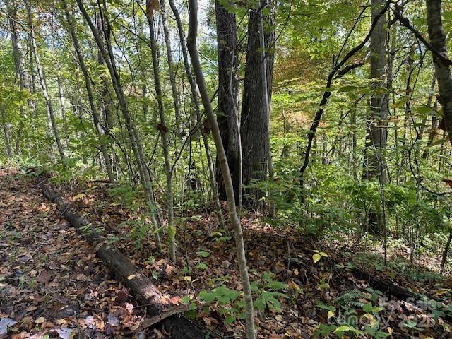 H16-h17 Shady Grv Road Tuckasegee, NC 28783 - Photo 2 of 6