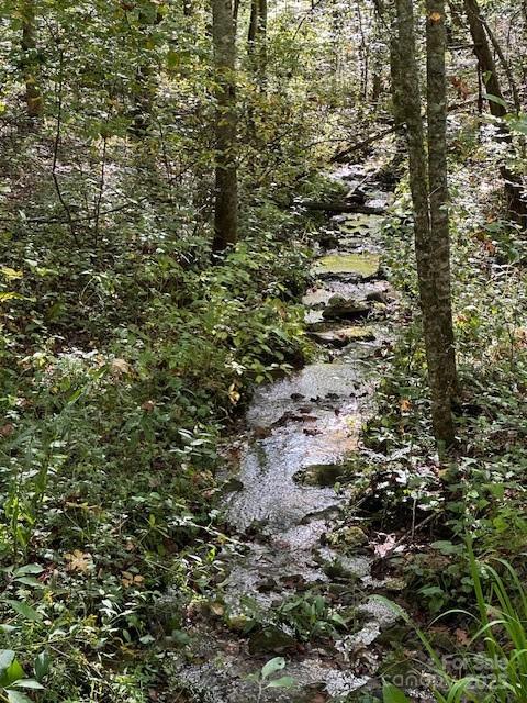 H16-h17 Shady Grv Road Tuckasegee, NC 28783 - Photo 4 of 6 a view of a yard with a tree