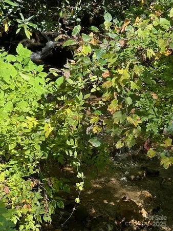 a view of outdoor space with trees