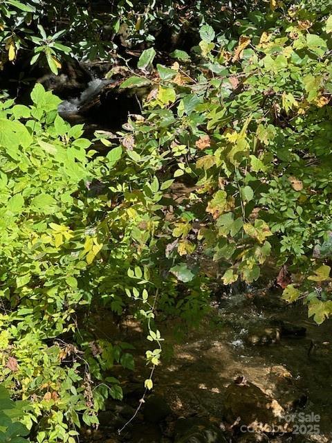 H16-h17 Shady Grv Road Tuckasegee, NC 28783 - Photo 5 of 6 a view of a tree