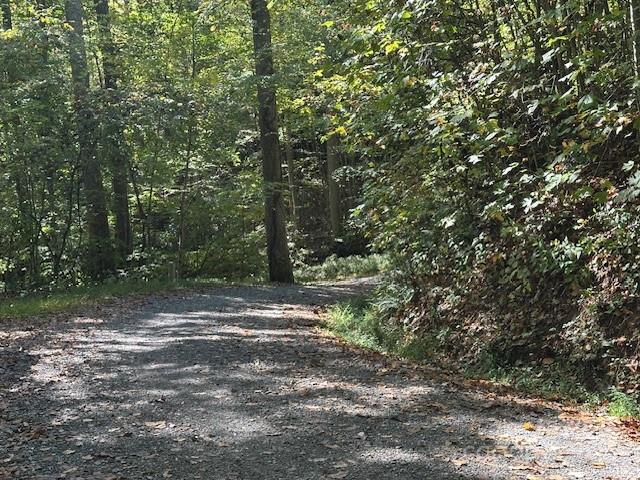 H16-h17 Shady Grv Road Tuckasegee, NC 28783 - Photo 6 of 6 a view of outdoor space with trees