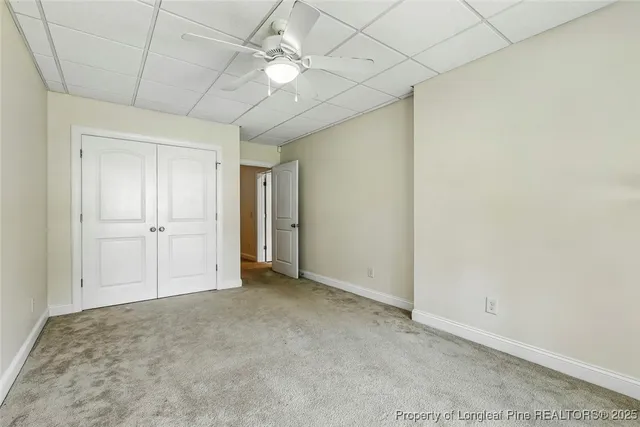 a view of a trees in a yard