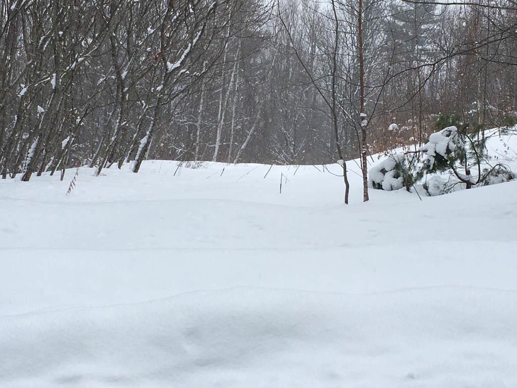 Bridgewater Hill Road Bristol, NH 03222 - Photo 2 of 13 Gallery Image 2