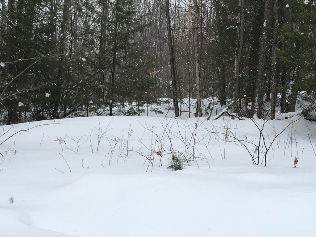 Bridgewater Hill Road Bristol, NH 03222 - Photo 5 of 13 Gallery Image 5