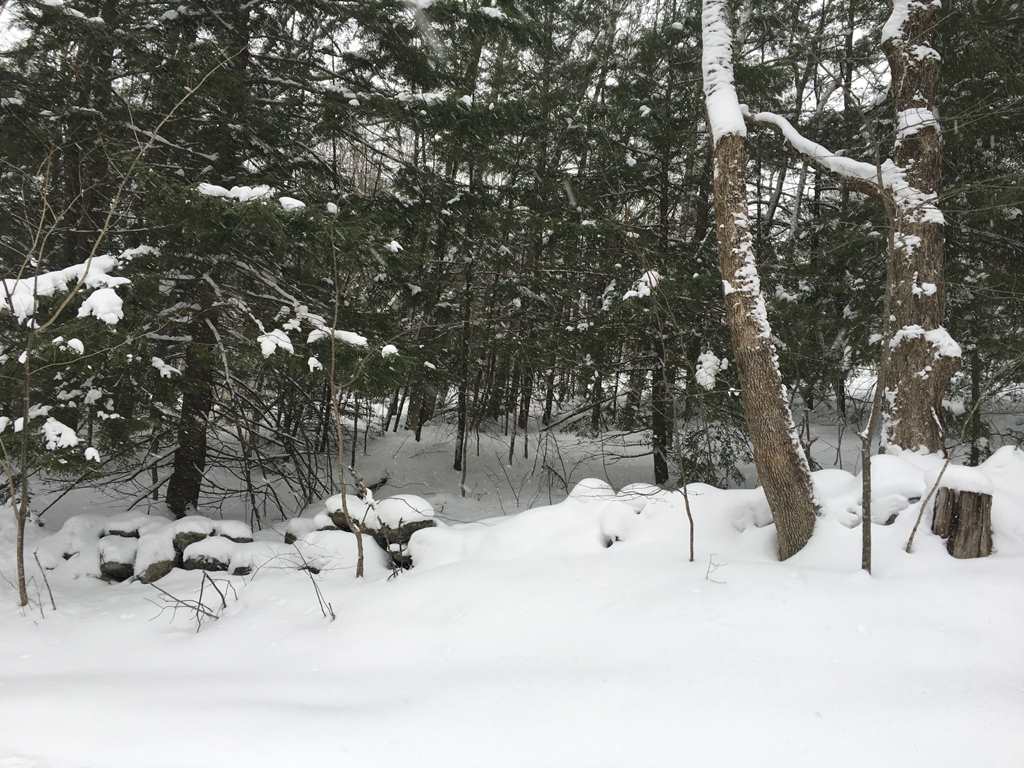 Bridgewater Hill Road Bristol, NH 03222 - Photo 7 of 13 Gallery Image 7