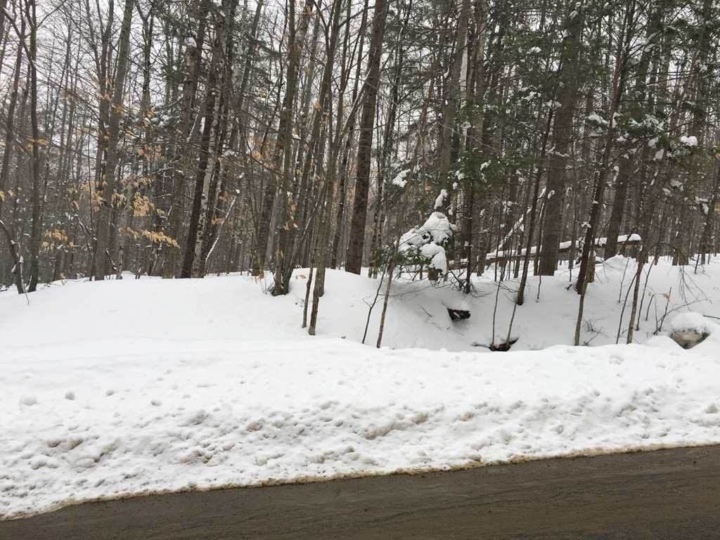 Bridgewater Hill Road Bristol, NH 03222 - Photo 8 of 13 Gallery Image 8