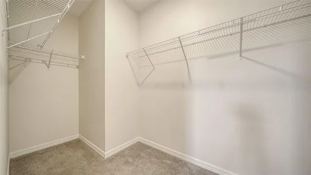 a view of a sign board with potted plants and palm trees