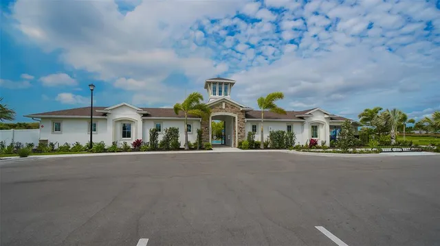 a view of a bunch of flowers
