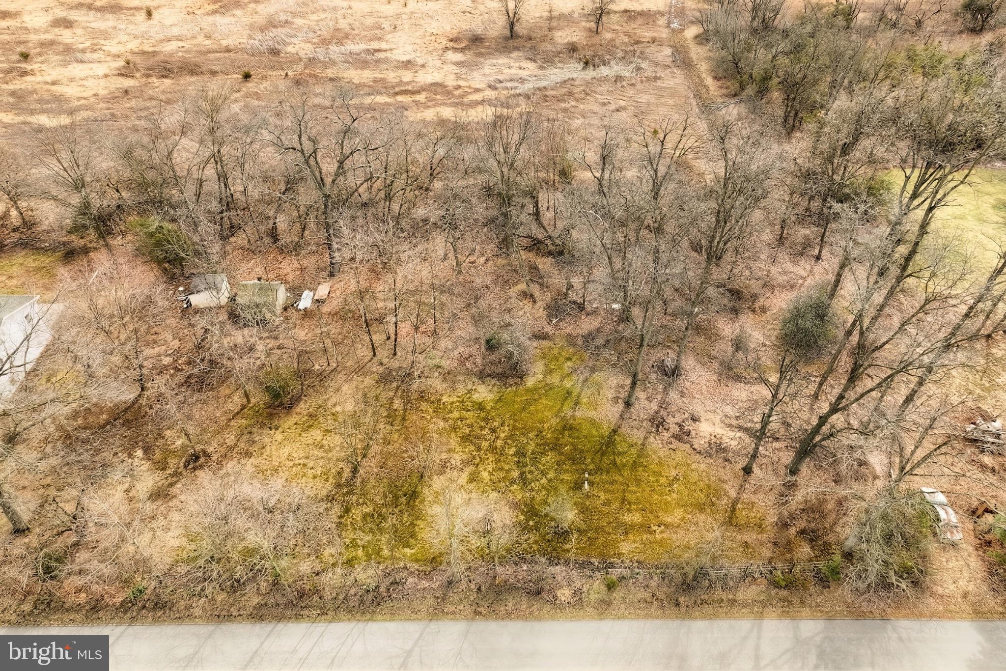 1766 Baltimore Road York Springs, PA 17372 - Photo 48 of 52 Serene wooded landscape awaits renewal.