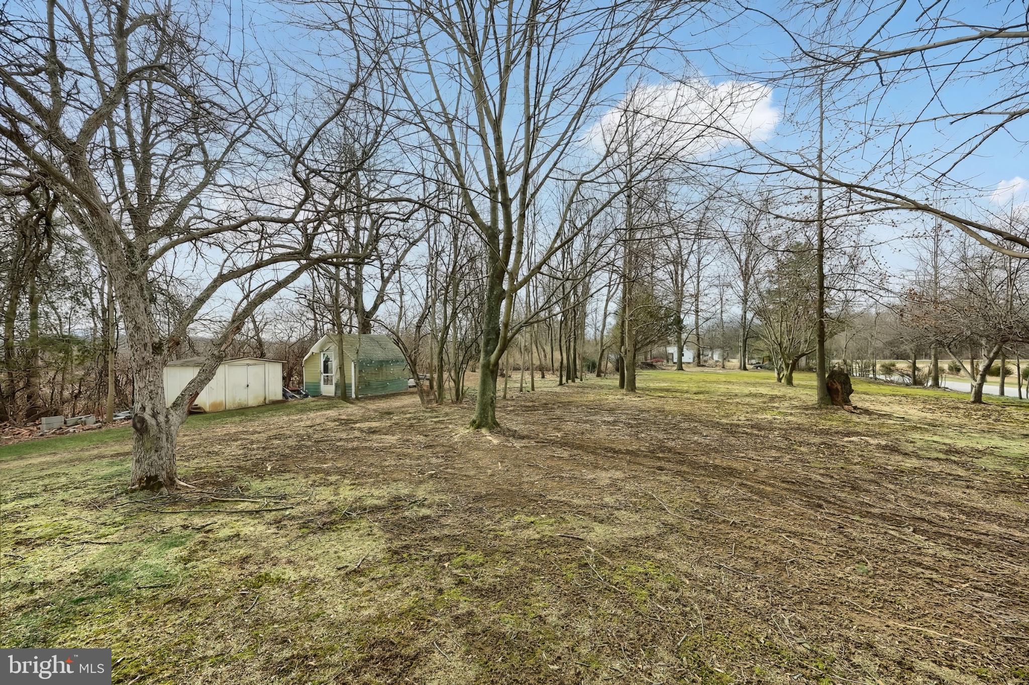 1766 Baltimore Road York Springs, PA 17372 - Photo 49 of 52 Spacious lot with mature trees.