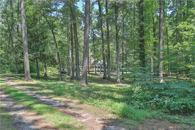 a big yard with lots of green space and trees