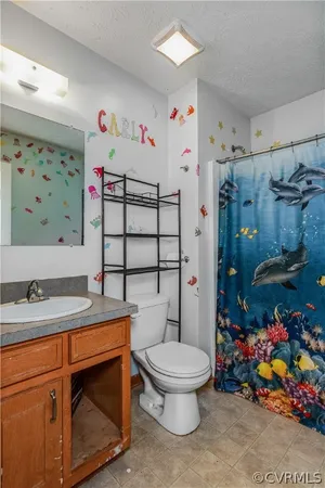 a bathroom with a sink a toilet and a shower
