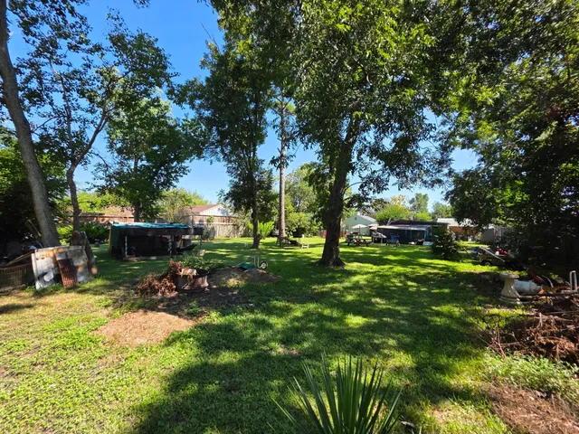 a view of a garden with a tree