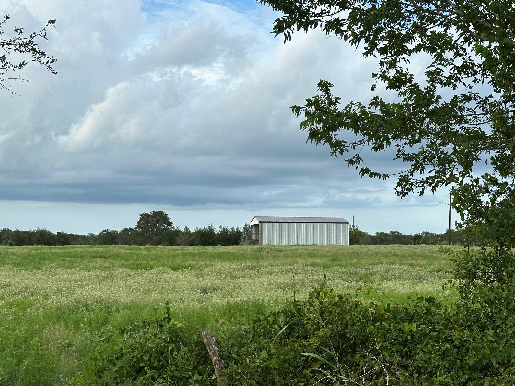 8616 Schuster Road Ledbetter, TX 78946 - Photo 10 of 10