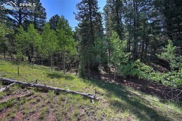 412 Princess Road Cripple Creek, CO 80813 - Photo 37 of 45 Gallery Image 37