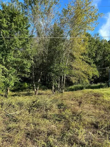 $16,000 | 0 Box Wood Lane, Tallahassee, FL 32303