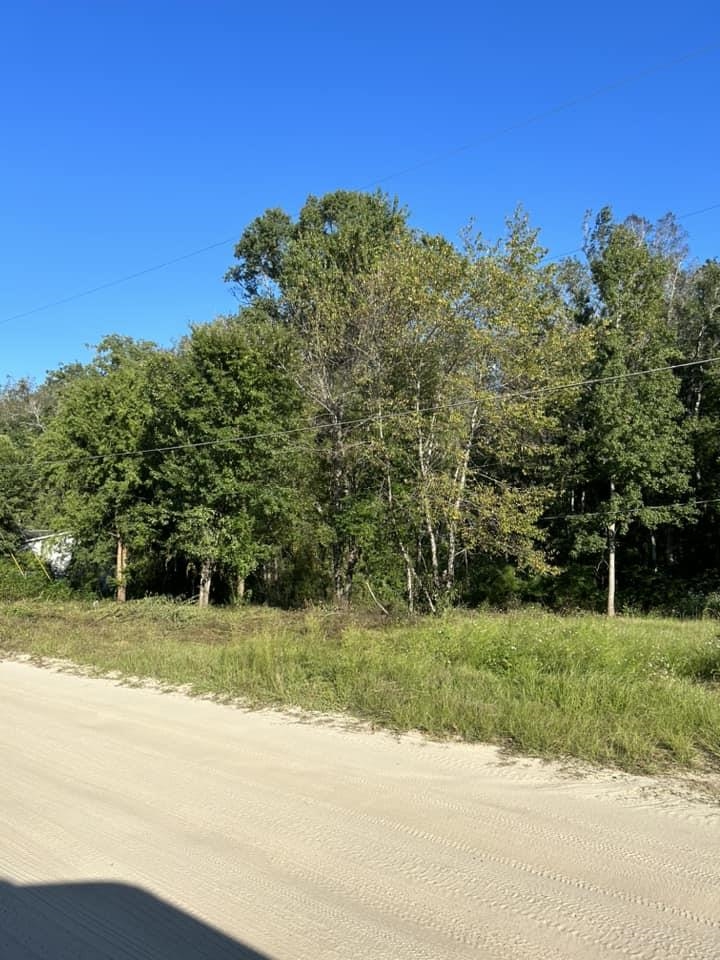 0 Box Wood Lane Tallahassee, FL 32303 - Photo 2 of 7