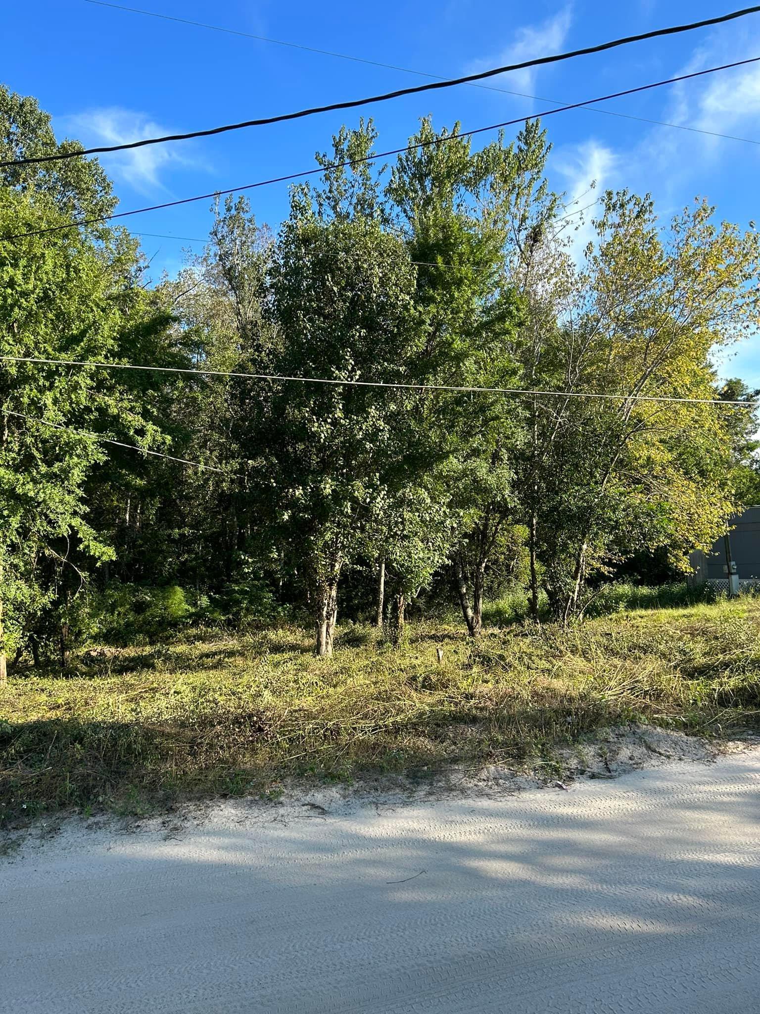 0 Box Wood Lane Tallahassee, FL 32303 - Photo 3 of 7